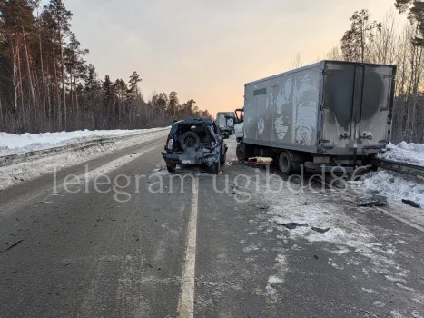 Из-за ДТП с большегрузом на трассе «Сургут-Нижневартовск» пострадали два человека