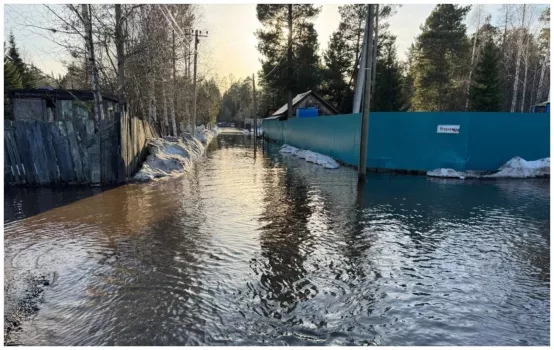Несколько дачных участков в СНТ «Газовик» подтопило из-за подъема уровня воды в реке: спасатели Сургута ликвидируют последствия