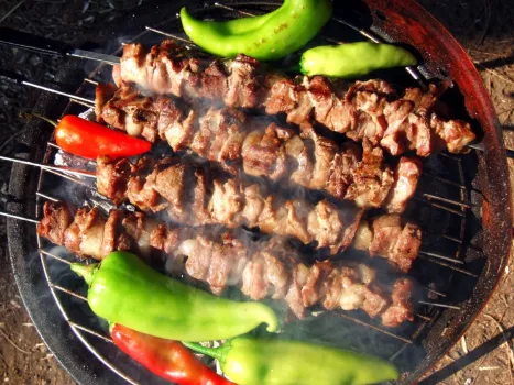 Не останется и кусочка: шашлык из курицы в медовом маринаде