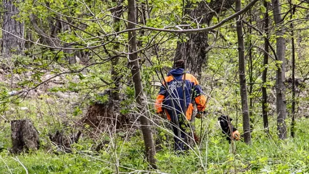 В Нижневартовском районе продолжаются поиски пропавшего грибника