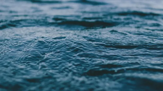 Вода в протоке Каюковская в Югре признана небезопасной для купания