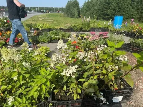 В Сургуте сократилось количество случаев несанкционированной торговли