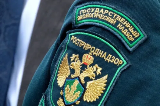 В ХМАО стартовали рейды против «кедротрясов»
