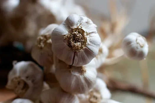 Бабушкин метод хранения лука и чеснока: никакой гнили — и выглядит красиво