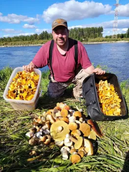 Югорчане собрали рекордный урожай грибов в конце летнего сезона