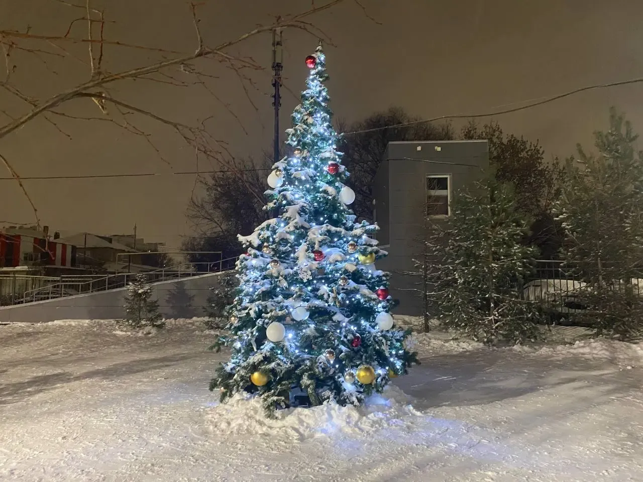 Фото: Артем Акчурин