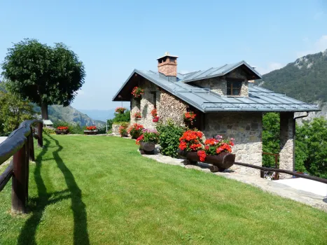 3 главных правила ухода за клематисами: простые действия &mdash; и пышные цветы превратят участок в королевский сад