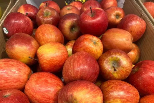 Когда лучше есть яблоки для снижения аппетита: советы специалистов