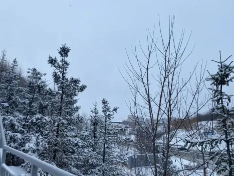 Как начать год с чистого листа: важные советы от Роспотребнадзора Югры