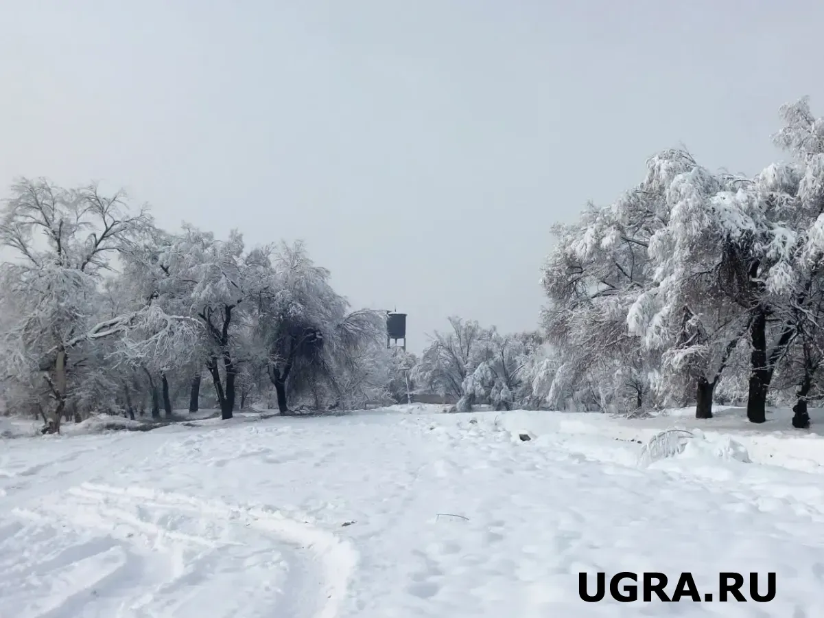 Югра открыла все зимние дороги и ледовые переправы