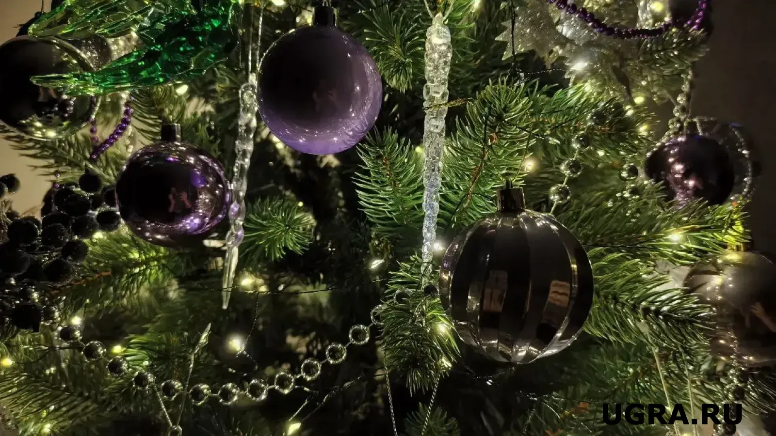 Росгвардейцы Югры исполнили новогоднее желание школьника из отдалённого села