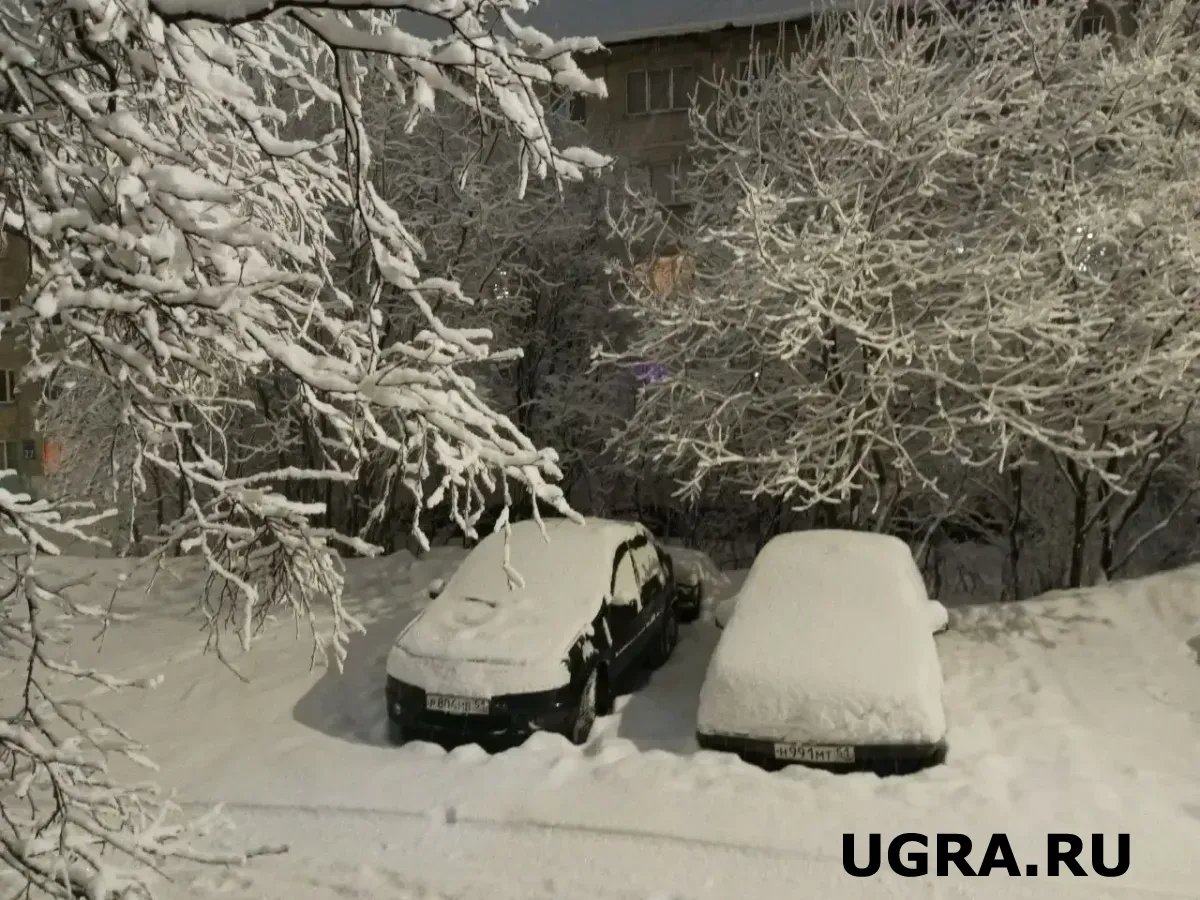 Ударят 40-градусные морозы: жителям Югры назвали дату прихода аномальных холодов