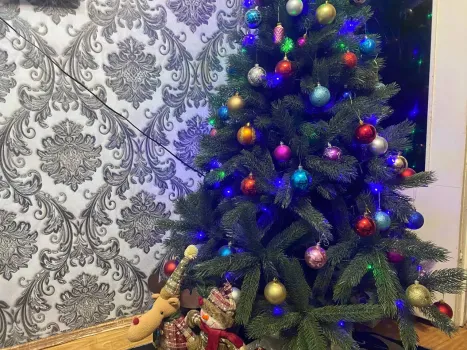 Когда надо убирать новогоднюю елку в 2026 году: советы мастера фэн-шуй