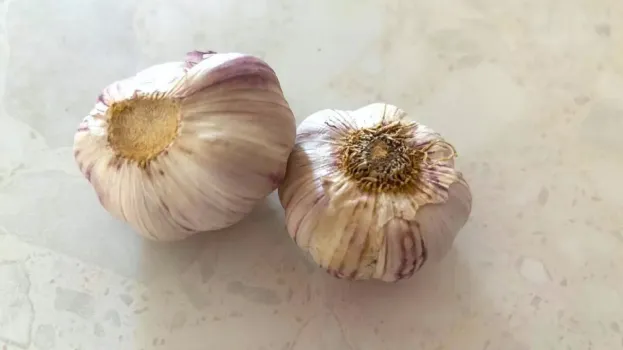 Хранение чеснока в холодильнике — ошибка, которую допускают даже самые опытные хозяйки