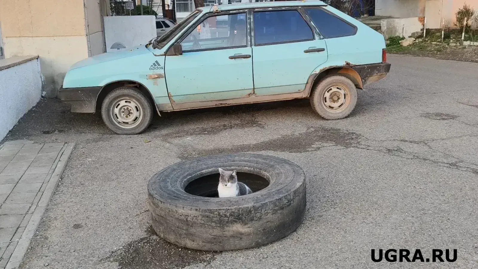 Госавтоинспекция Югры просит выезжать на трассу только на подготовленном авто: на что обратить внимание