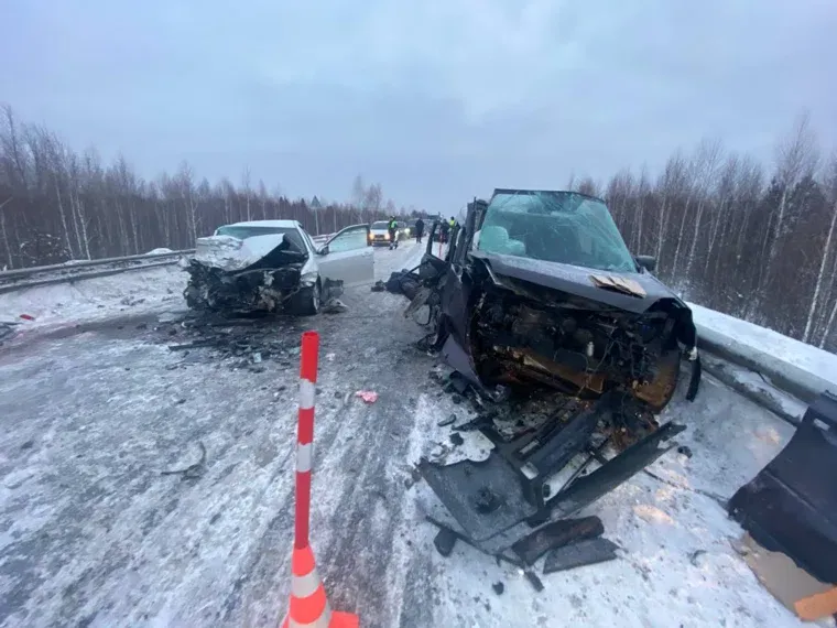 Фото: telegram-канал Госавтоинспекции Тюменской области