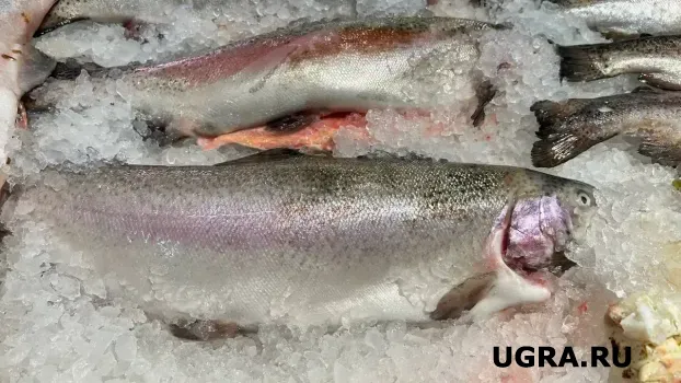 Роспотребнадзор предупредил о паразитах в северной рыбе из ХМАО