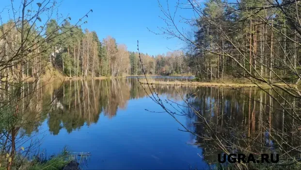 Росприроднадзор обнаружил свалку на берегу Оби в Нижневартовске