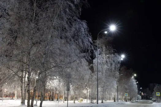 В Сургуте изменили правила введения актированных дней для школьников