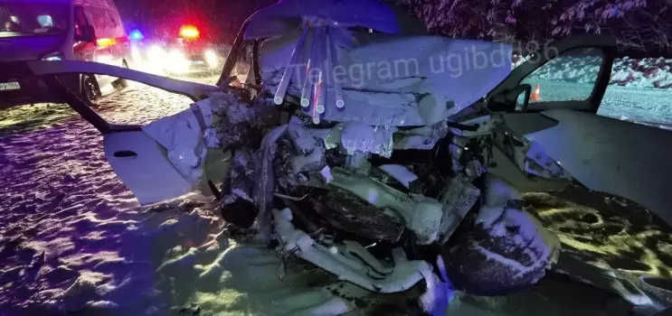 Виновником смертельного ДТП под Сургутом стал водитель Lexus