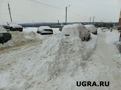 Жителям Сургута рассказали, что уборка снега может заменить тренировку в спортзале