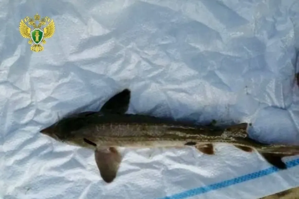 Фото: Уральская транспортная прокуратура