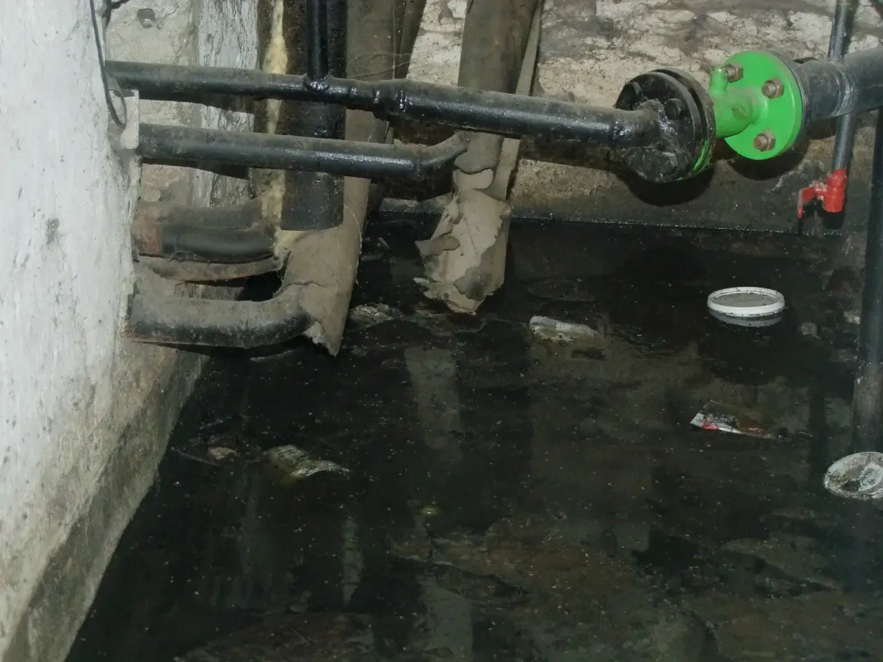 Фото: автор