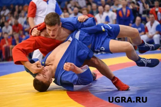 Югра утвердила 18 базовых видов спорта на четыре года вперед