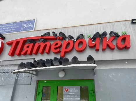 В Нижневартовске установили новые кормушки для птиц у Комсомольского озера и в Семейном сквере