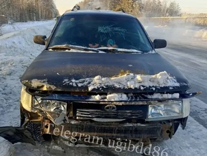 Фото: t.me/ugibdd86