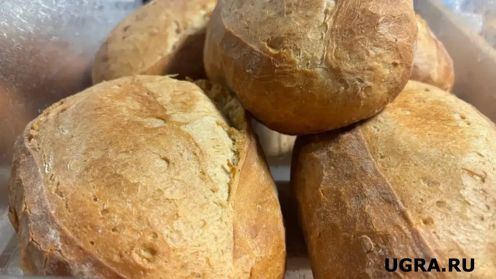 В ХМАО с начала 2026 года подорожал хлеб: как изменилась цена