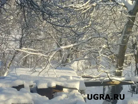 Актировки в ХМАО 27 января: в каких городах отменили занятия в школах из-за морозов