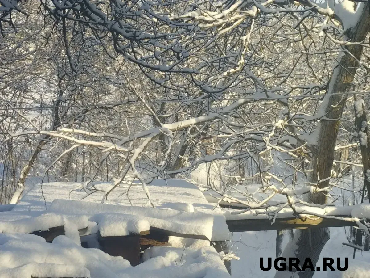 Актировки в ХМАО 27 января: в каких городах отменили занятия в школах из-за морозов