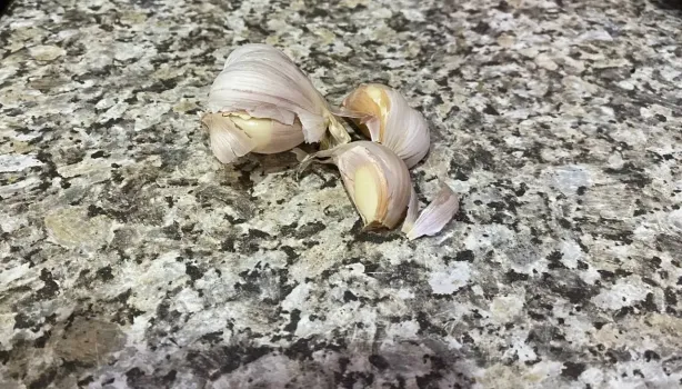 Чеснок на шее не спасёт: санврачи Югры развенчали популярный миф о защите от вирусов