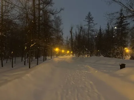 Югру после оттепели накроют сильные морозы до -40 градусов