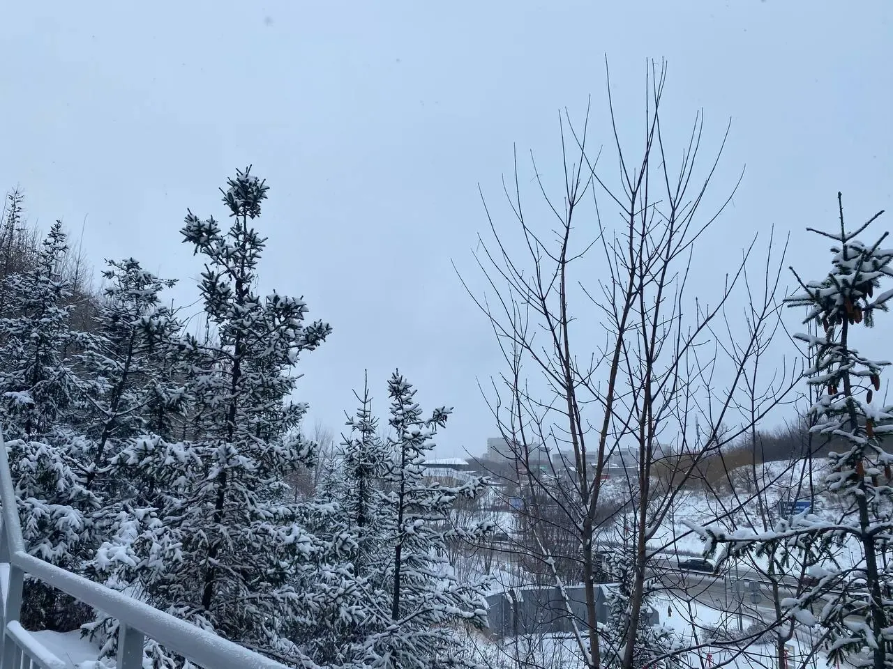 Фото: Артем Акчурин