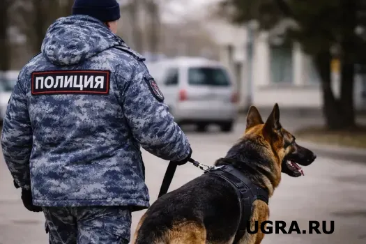 В Сургуте нашли тело мужчины, которого искали на протяжении недели