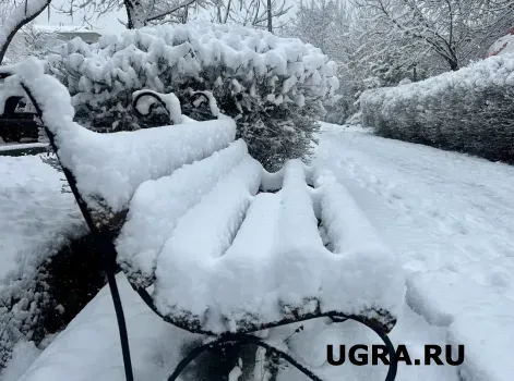 После сильных морозов в Югре ожидается потепление и снегопады
