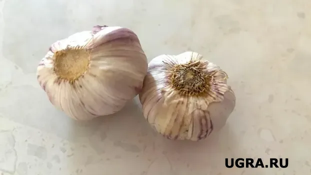 Чеснок без шелухи за 10 секунд: кухонный приём, о котором знают не все
