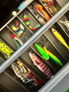 Рыбалка XXI века: как рыбаки в ХМАО используют современные гаджеты