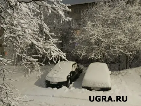 Югру накрывает новая волна морозов: ночами до −41 градуса