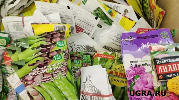 Старые семена &mdash; не приговор: как понять, взойдут ли они весной