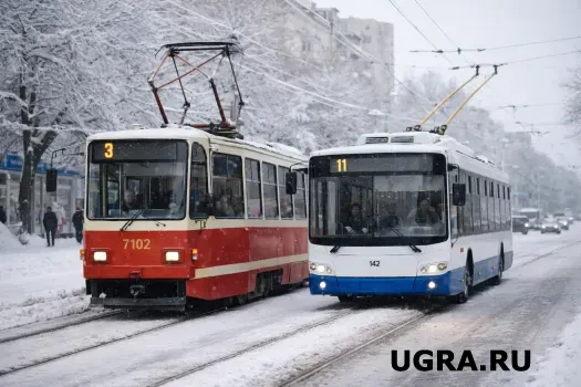Деревня без дороги к жизни: прокуратура вмешалась из-за транспортной изоляции в Сургутском районе