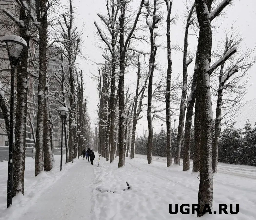 В Югру возвращаются аномальные морозы: температура опустится до -39 градусов