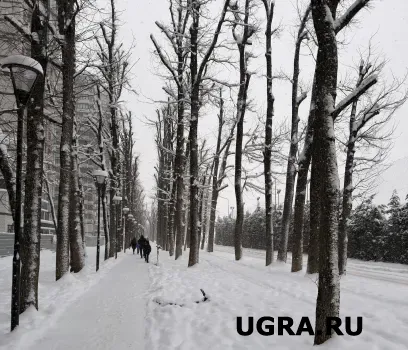 В Югру возвращаются аномальные морозы: температура опустится до -39 градусов