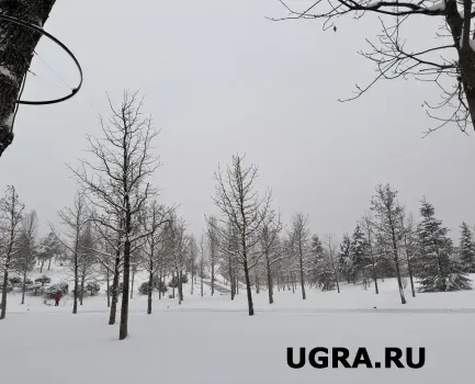 На февральские праздники в Югру нагрянут морозы до -40°С &mdash; синоптики предупредили