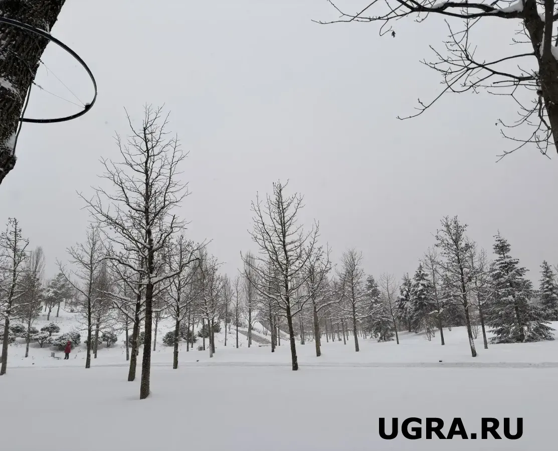 На февральские праздники в Югру нагрянут морозы до -40°С — синоптики предупредили