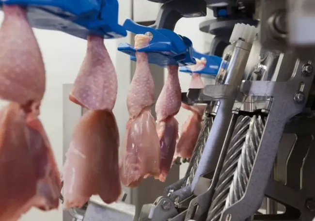 Какая маркировка на колбасе указывает на то, что в ней использовали не совсем мясо &mdash; производители умалчивают, а мы расскажем