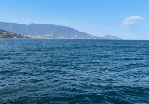 Лодыри или хозяева жизни &mdash; почему абхазы не работают: турист задал неудобный вопрос сухумцу и удивился ответу