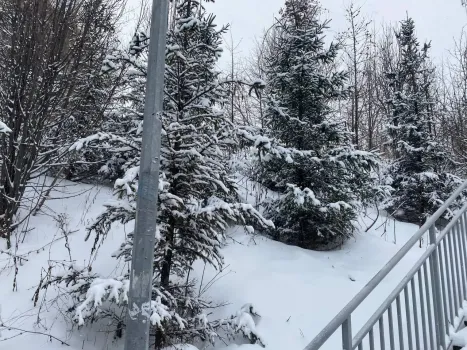 Югру накрыл холодный антициклон: морозы сохранятся до конца февраля